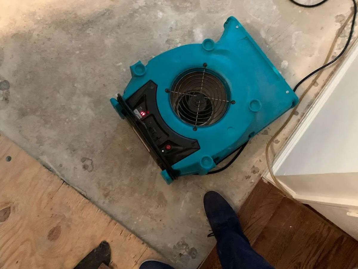 Air mover drying subfloor during Leak Detection & Repair in George Mason